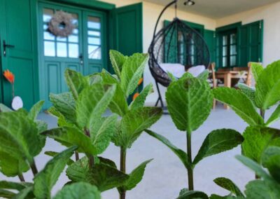 P2 – Levendula ház terasz növényekkel